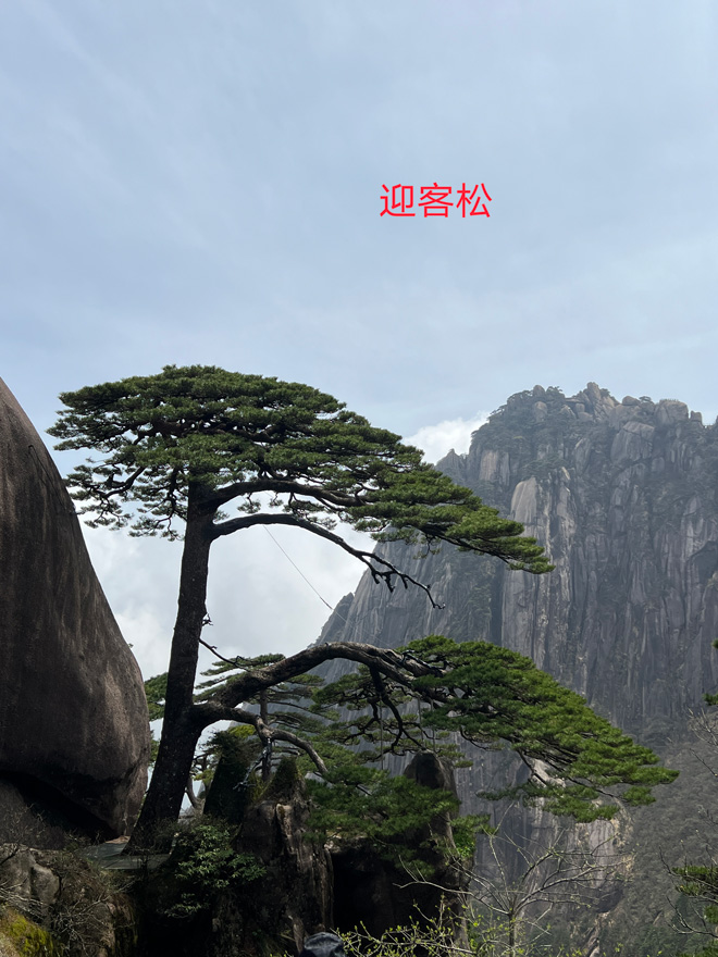 微信圖片_20230418112849.jpg 微信圖片_20230418112849.jpg